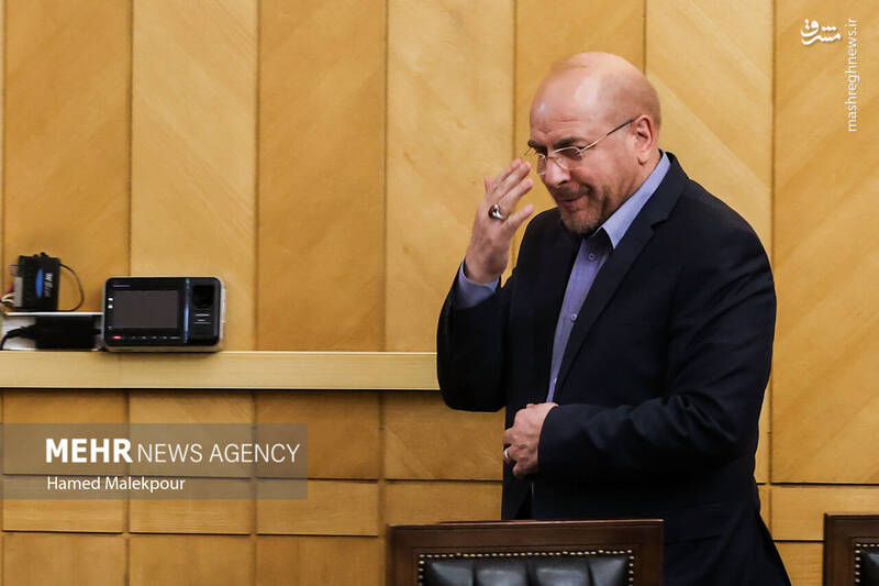 عکس/ نشست مجلس با سفرای کشورهای اسلامی درباره تحولات منطقه