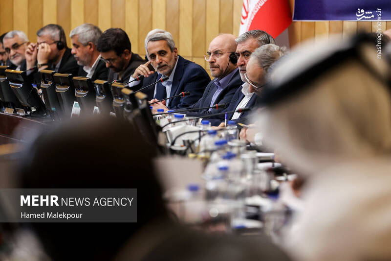 عکس/ نشست مجلس با سفرای کشورهای اسلامی درباره تحولات منطقه