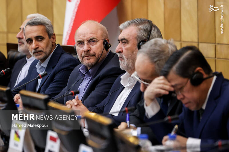 عکس/ نشست مجلس با سفرای کشورهای اسلامی درباره تحولات منطقه