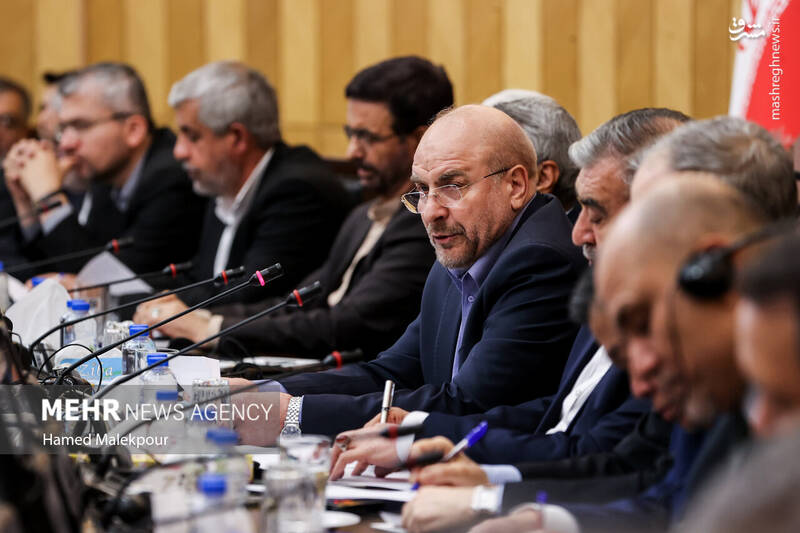 عکس/ نشست مجلس با سفرای کشورهای اسلامی درباره تحولات منطقه