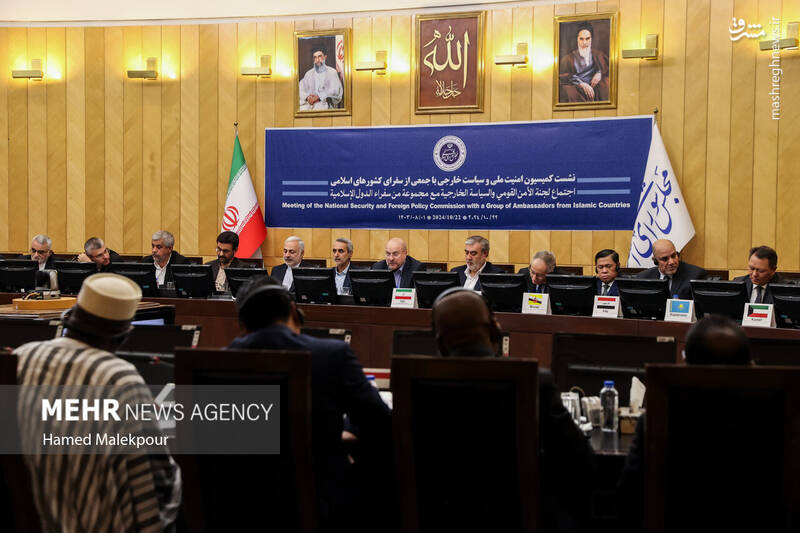 عکس/ نشست مجلس با سفرای کشورهای اسلامی درباره تحولات منطقه