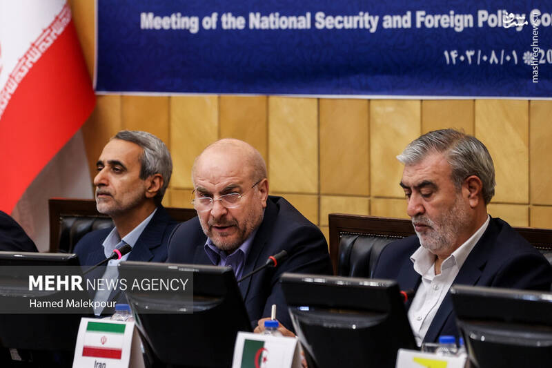 عکس/ نشست مجلس با سفرای کشورهای اسلامی درباره تحولات منطقه