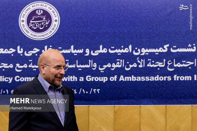 عکس/ نشست مجلس با سفرای کشورهای اسلامی درباره تحولات منطقه