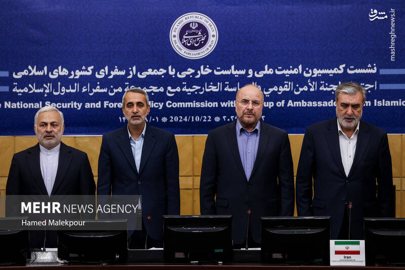 عکس/ نشست مجلس با سفرای کشورهای اسلامی درباره تحولات منطقه