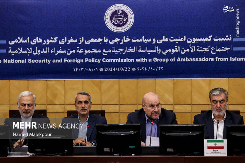 عکس/ نشست مجلس با سفرای کشورهای اسلامی درباره تحولات منطقه