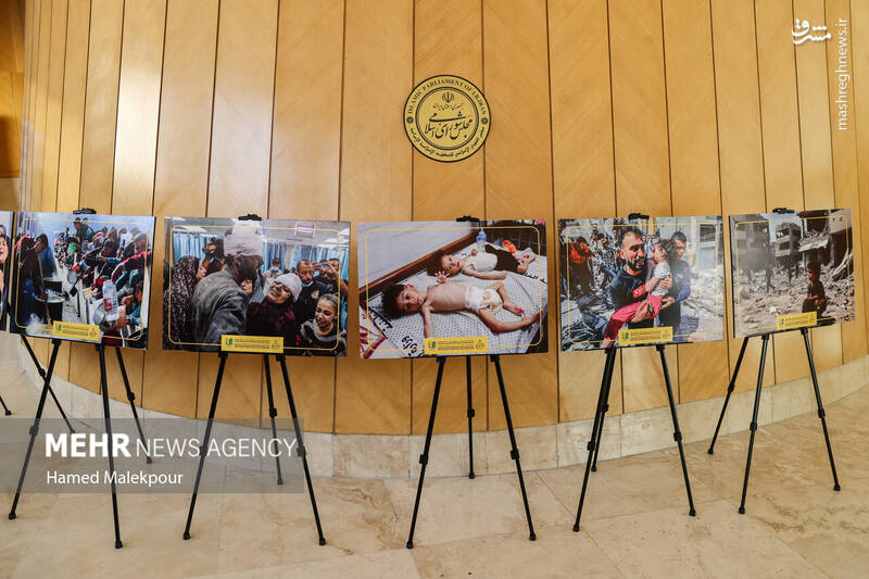 عکس/ نشست مجلس با سفرای کشورهای اسلامی درباره تحولات منطقه