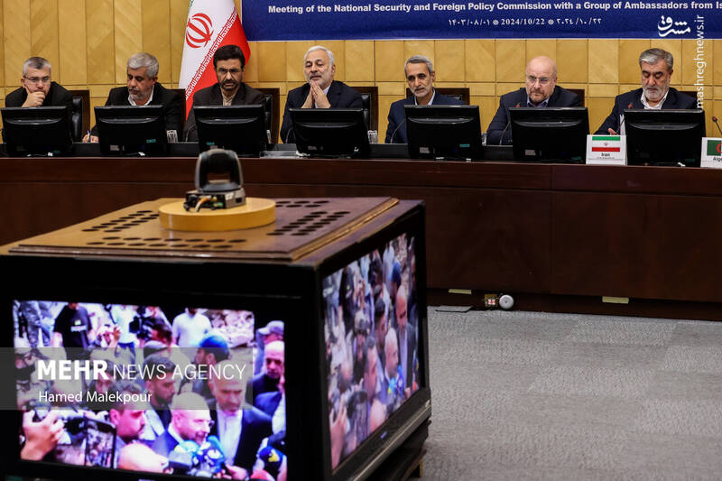 عکس/ نشست مجلس با سفرای کشورهای اسلامی درباره تحولات منطقه