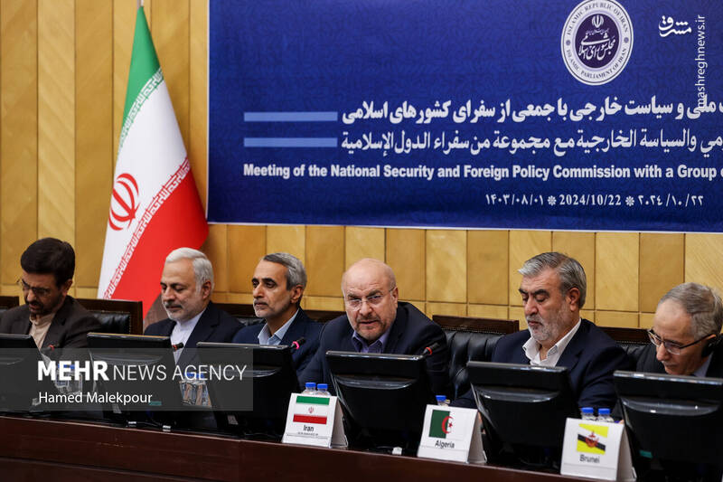 عکس/ نشست مجلس با سفرای کشورهای اسلامی درباره تحولات منطقه