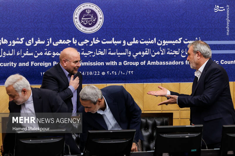 عکس/ نشست مجلس با سفرای کشورهای اسلامی درباره تحولات منطقه