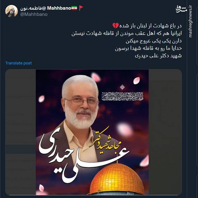 پیام توئیتریها در پی شهادت دکتر ایرانی در لبنان