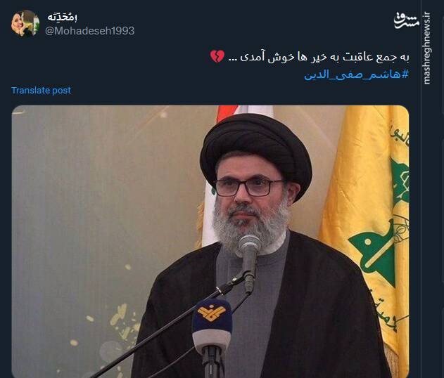 کاربران درباره شهید سید هاشم صفیالدین چه نوشتند؟