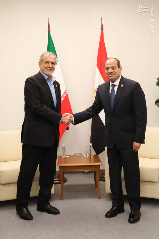 عکس/ دیدار روسای جمهور ایران و مصر