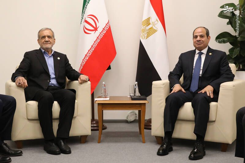 عکس/ دیدار روسای جمهور ایران و مصر