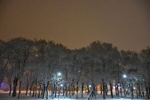 فیلم/ بارش شدید شبانه برف یک جاده ایران را بست