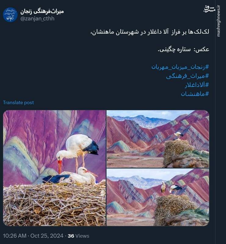 لک‌لک‌ها بر فراز  آلا داغلار در شهرستان ماهنشان +تصویر