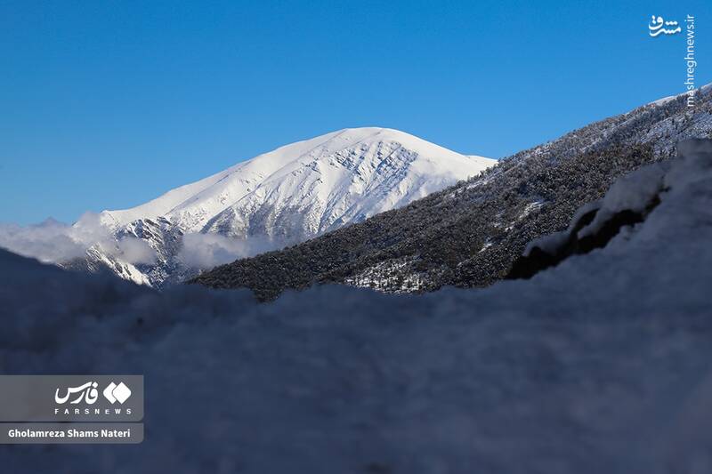 عکس/ برف پاییزی در کوهستان چالوس