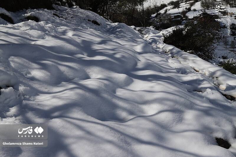 عکس/ برف پاییزی در کوهستان چالوس