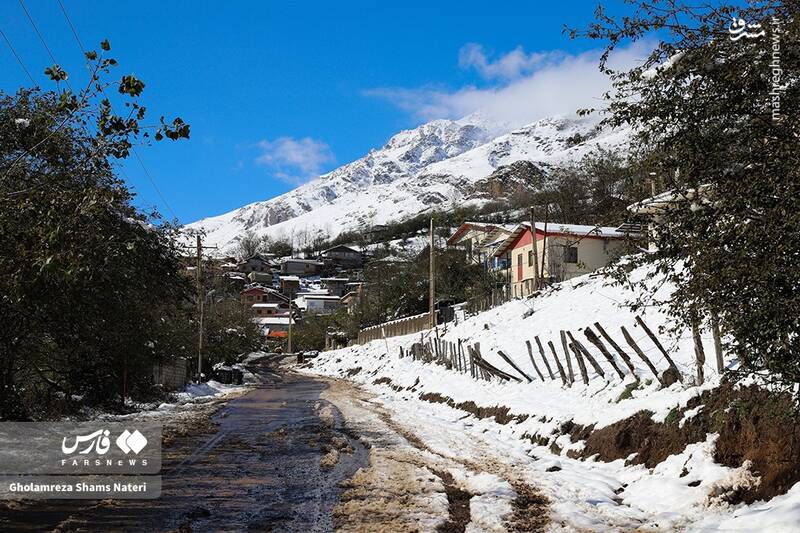 عکس/ برف پاییزی در کوهستان چالوس