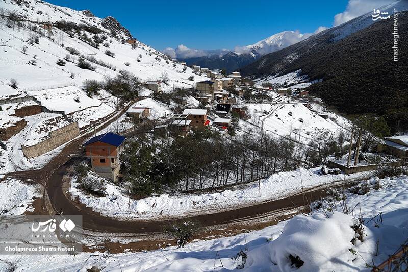 عکس/ برف پاییزی در کوهستان چالوس