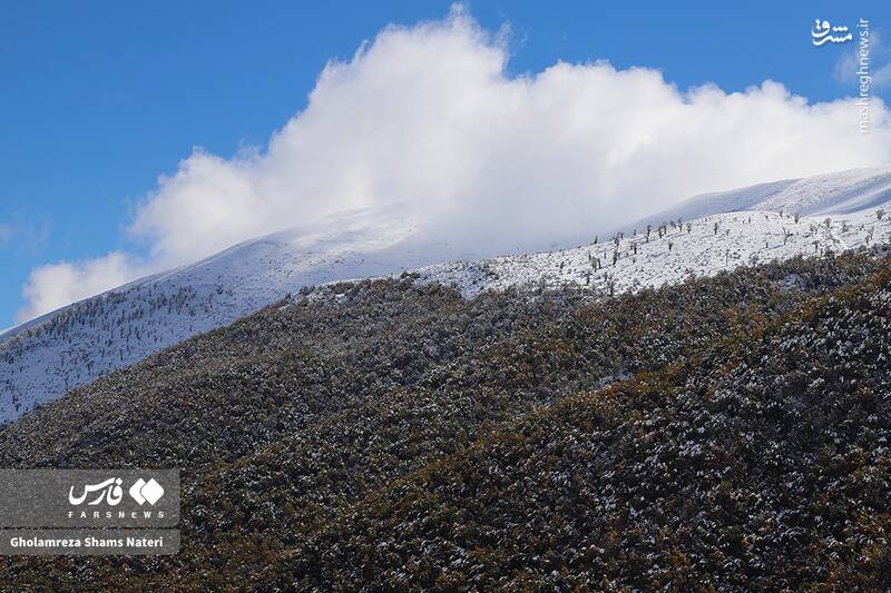 عکس/ برف پاییزی در کوهستان چالوس