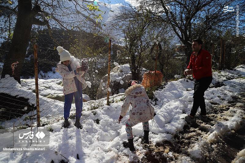 عکس/ برف پاییزی در کوهستان چالوس