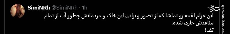 پاسخ کاربران به یک مزدور فارسی زبان