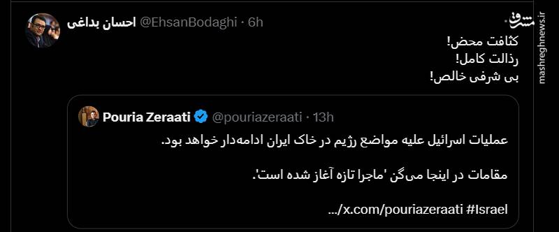 پاسخ کاربران به یک مزدور فارسی زبان