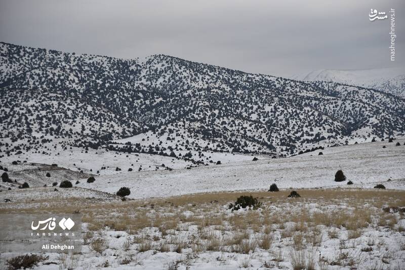 عکس/ نخستین برف پاییزی در گلستان