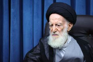 آیت‌الله شبیری زنجانی: رهبر معظم انقلاب شاگرد برجسته مکتب انقلاب بود