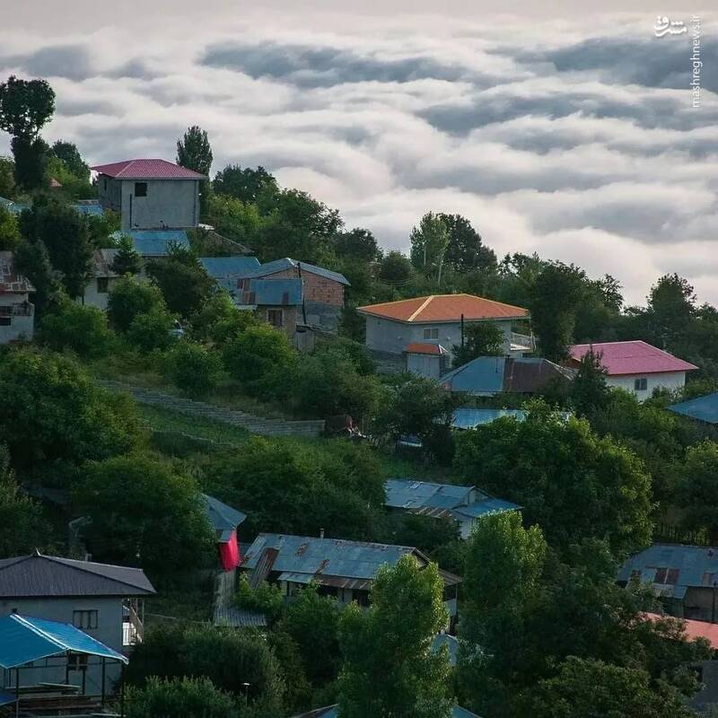 ۴ تصویر از ۴ گوشه مازندران