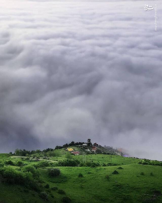 ۴ تصویر از ۴ گوشه مازندران