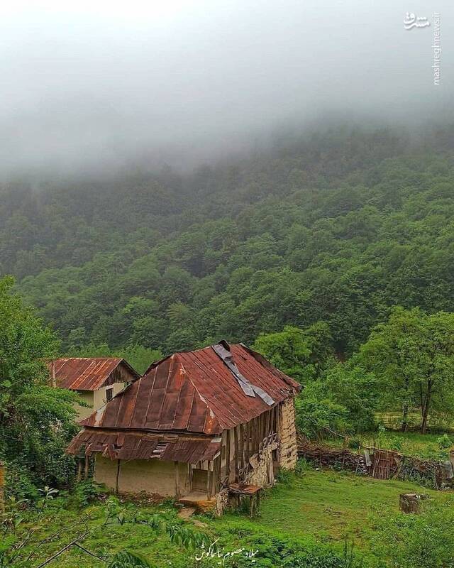 ۴ تصویر از ۴ گوشه مازندران