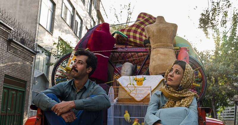 «سال گربه» روی بستر کلیشههای همیشگی سینمای کمدی / وقتی ساقیبودن عادیسازی میشود