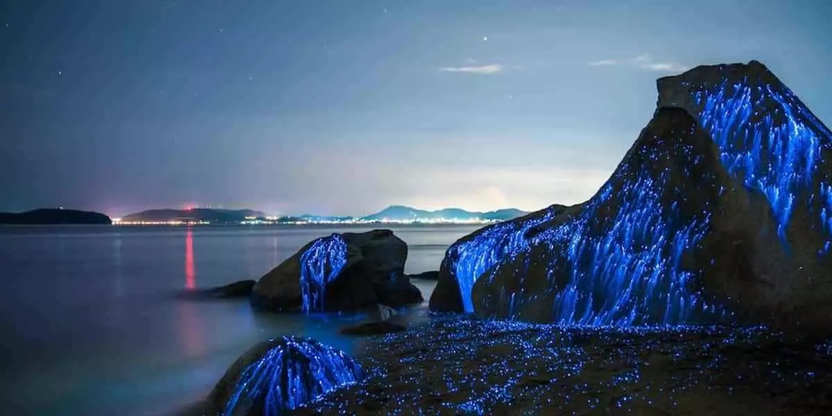 کارهایی که باید در مالدیو در سال 2025 انجام دهید؟