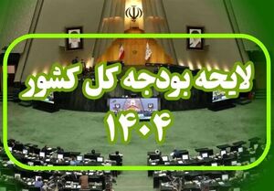 فیلم/ جزئیات برسی لایحه بودجه ۱۴۰۴