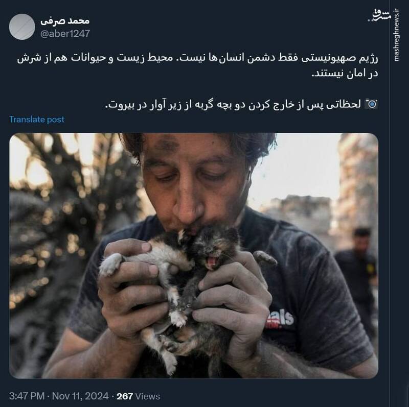 حیوانات هم از دست صهیونیستها در امان نیستند