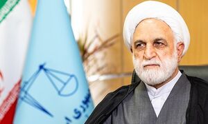 فیلم/ انتقاد رئیس دستگاه قضا از کارتهای بازرگانی اجارهای