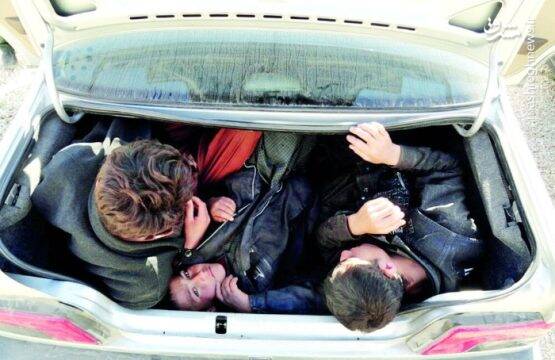 «شوتیهای افغان بر» بلای جان جادهها