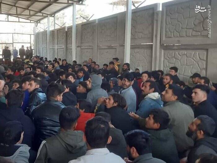 «شوتیهای افغان بر» بلای جان جادهها