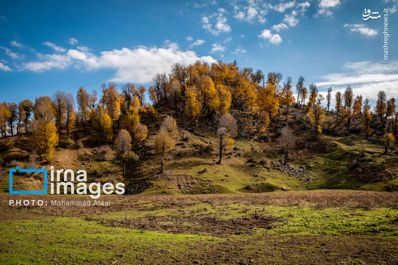 عکس/ پاییز دشت "مرکوه"