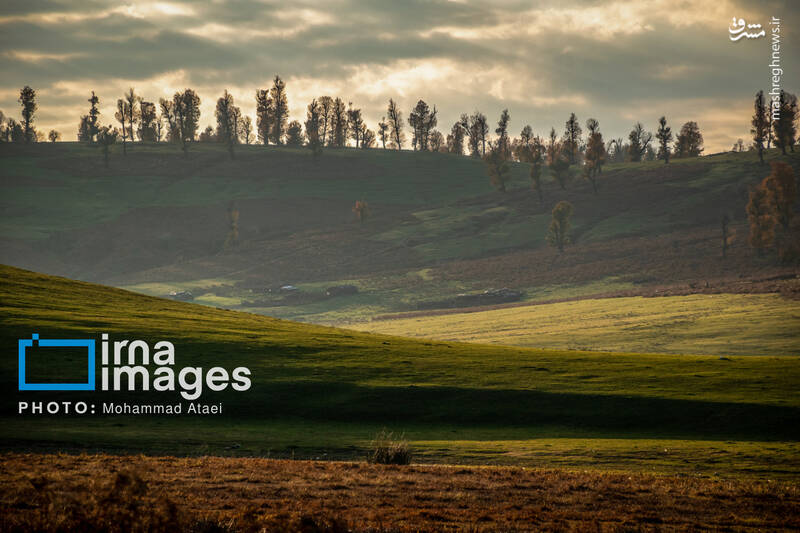 عکس/ پاییز دشت "مرکوه"