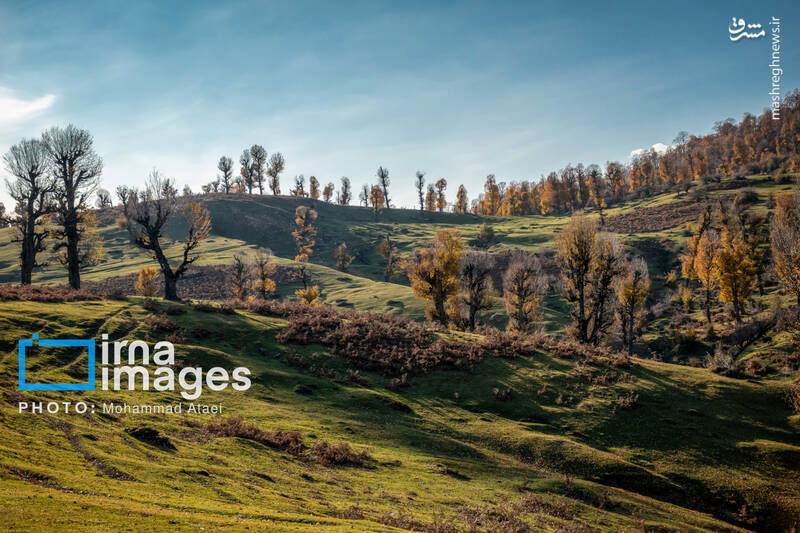 عکس/ پاییز دشت "مرکوه"