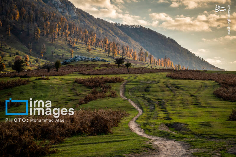 عکس/ پاییز دشت "مرکوه"