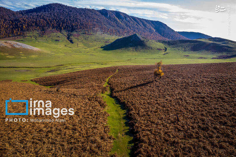 عکس/ پاییز دشت "مرکوه"