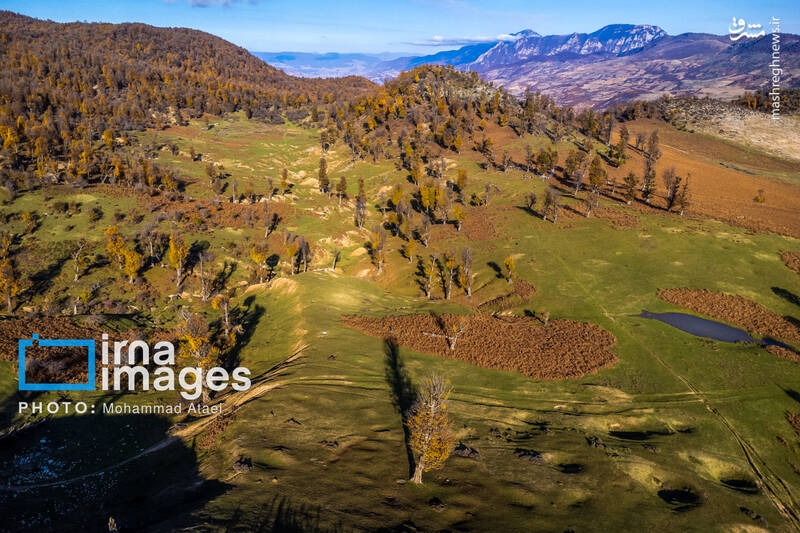 عکس/ پاییز دشت "مرکوه"