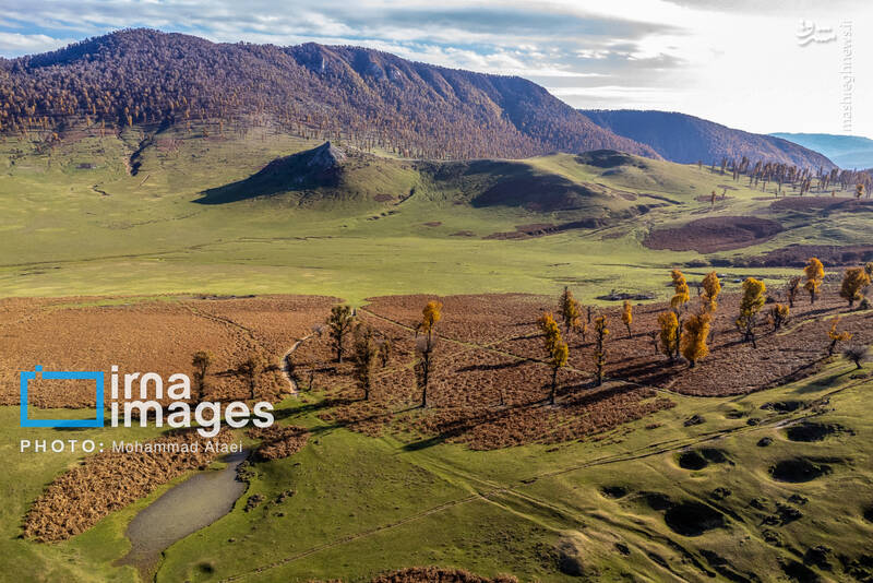 عکس/ پاییز دشت "مرکوه"