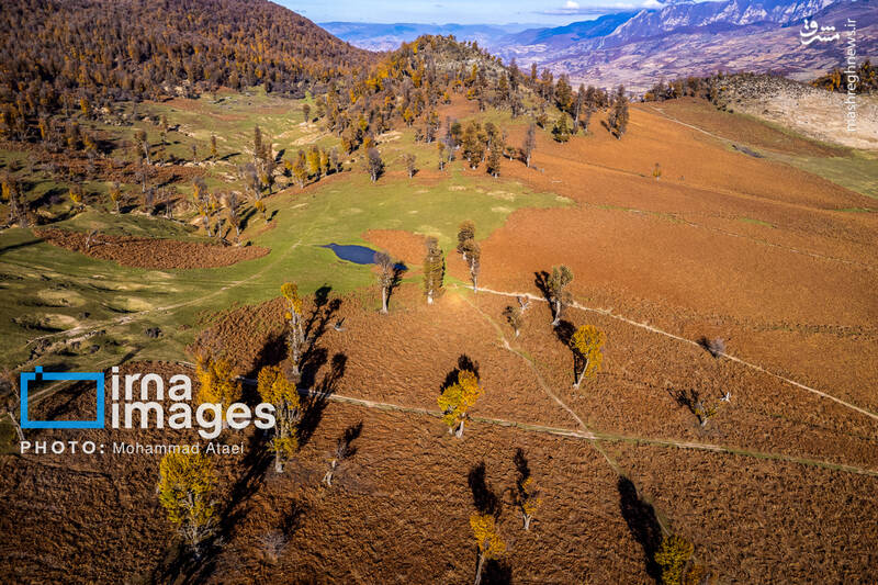 عکس/ پاییز دشت "مرکوه"