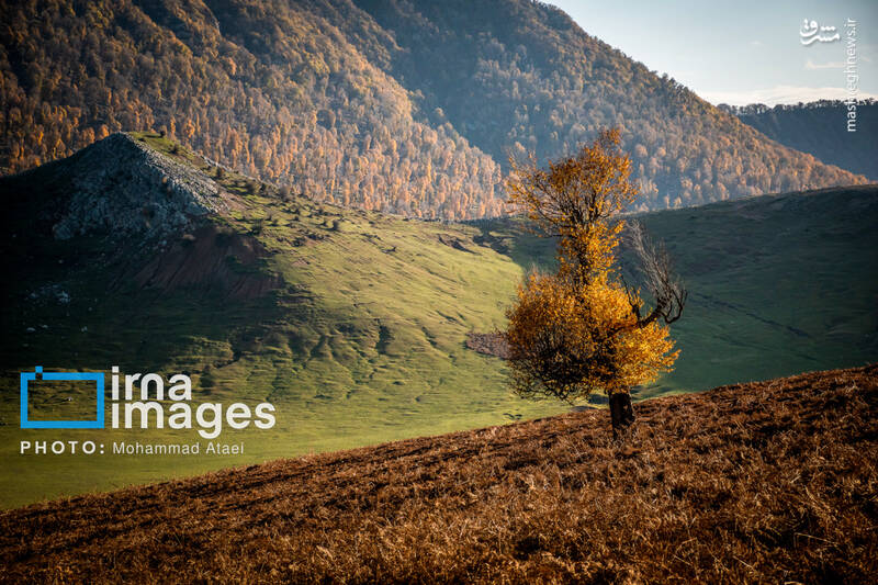 عکس/ پاییز دشت "مرکوه"