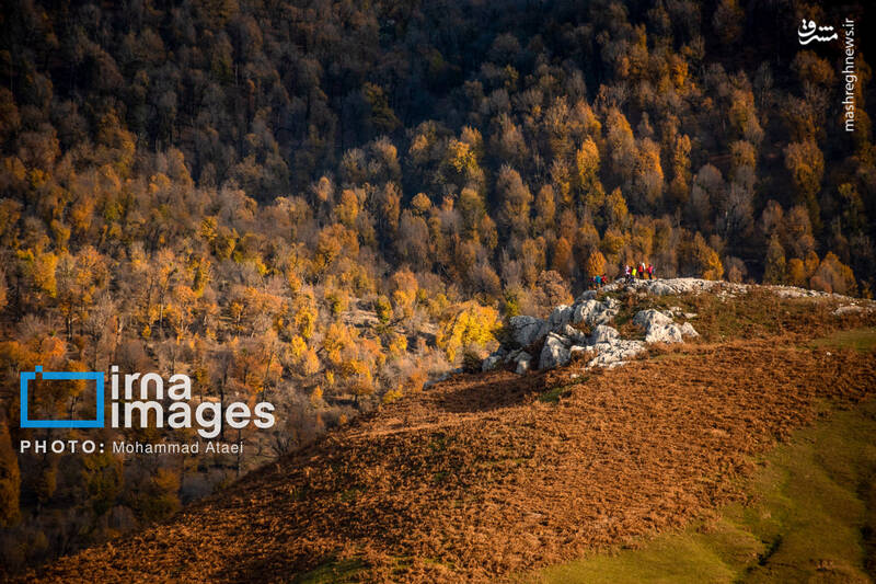 عکس/ پاییز دشت "مرکوه"