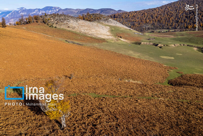 عکس/ پاییز دشت "مرکوه"